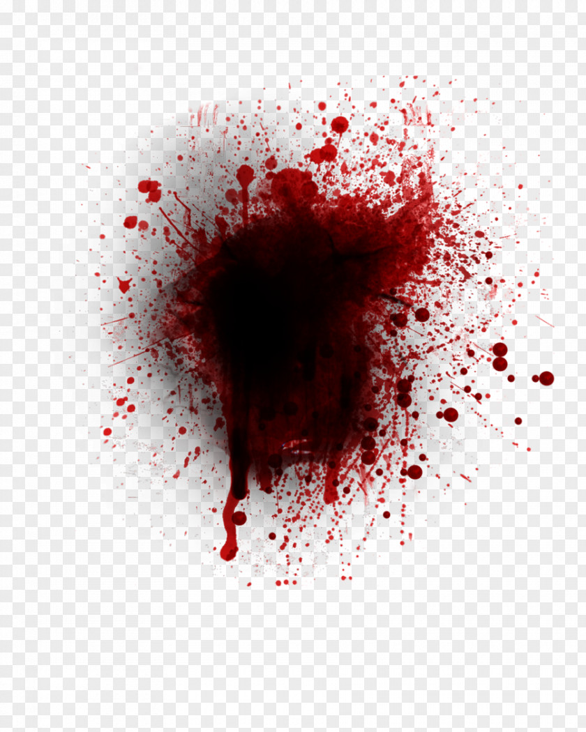 Blood Bloodstain Pattern Analysis Clip Art PNG