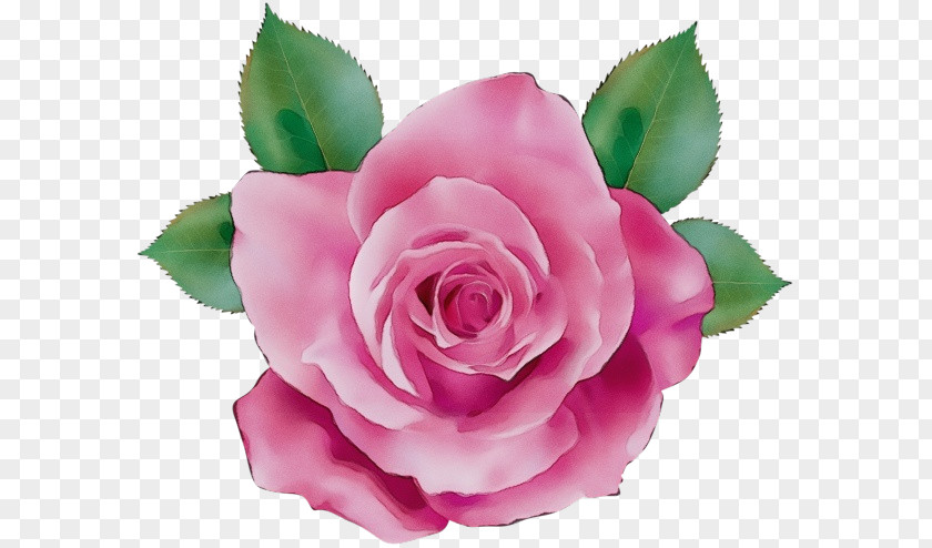Camellia Artificial Flower Watercolor Pink Flowers PNG