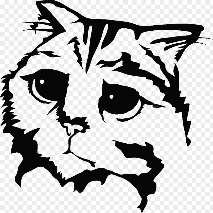 Face Cat Whiskers Drawing Line Art Clip PNG