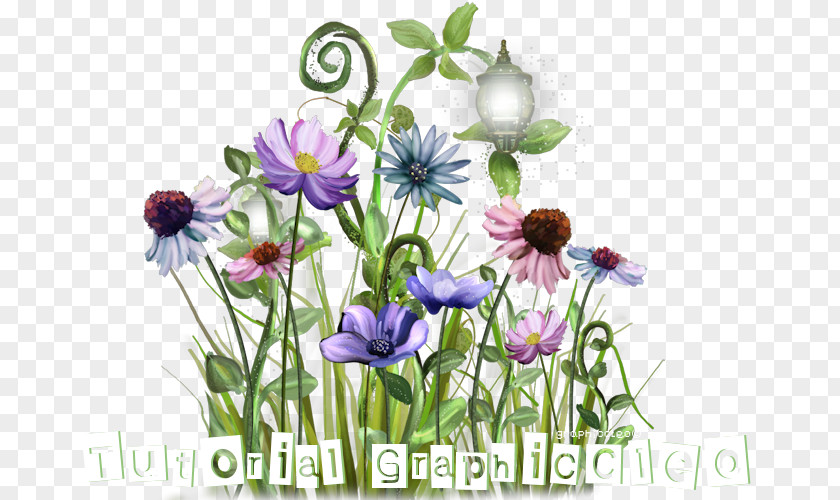 Flower Floral Design Photography Plant Stem Internet Forum PNG