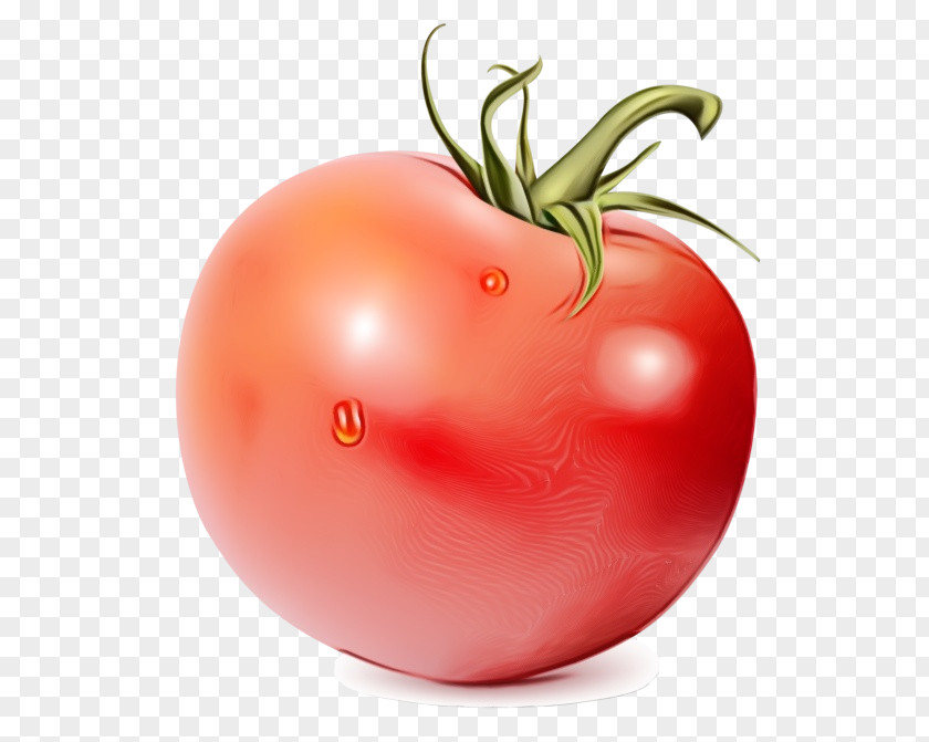 Plum Tomato Vegan Nutrition PNG