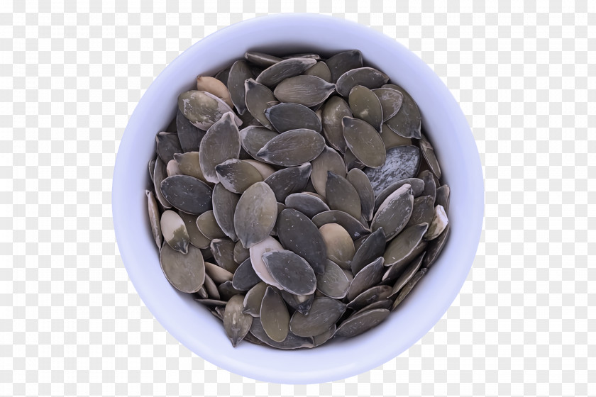 Seed PNG