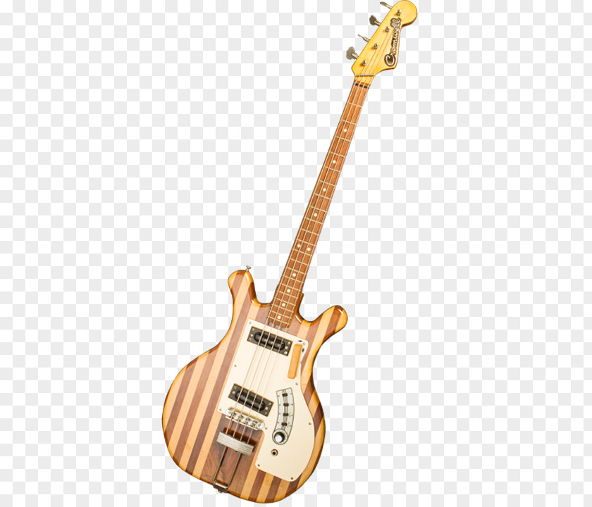 Bass Guitar Electric Cuatro Tiple PNG