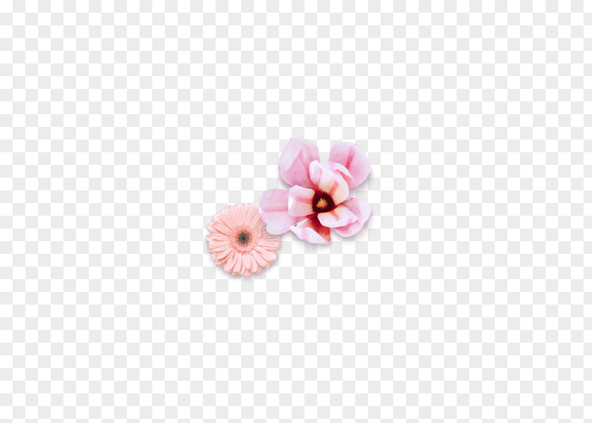 Floral Decoration Pattern Flower Ornament PNG