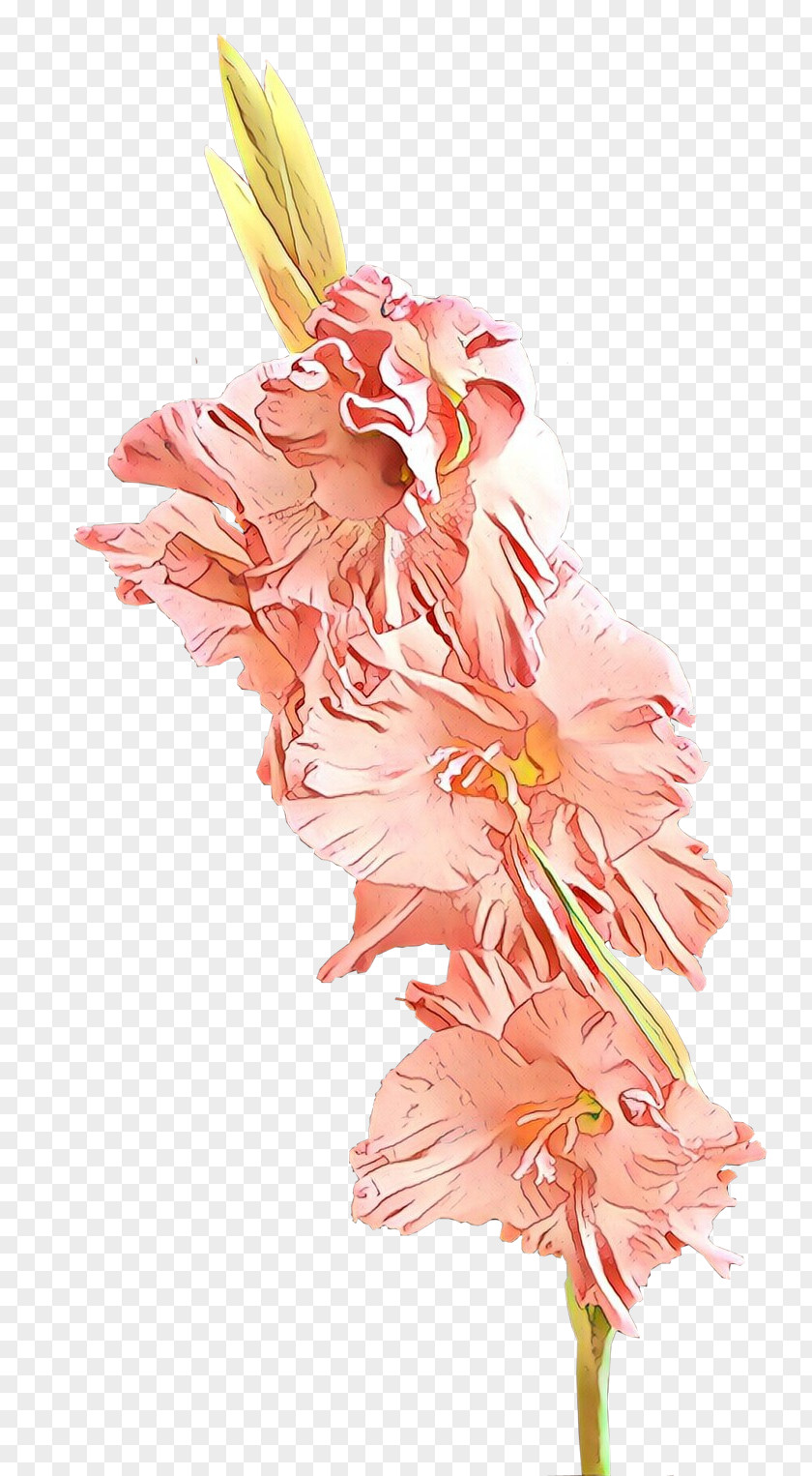 Bouquet Peach Flower Cut Flowers Plant Pink Gladiolus PNG