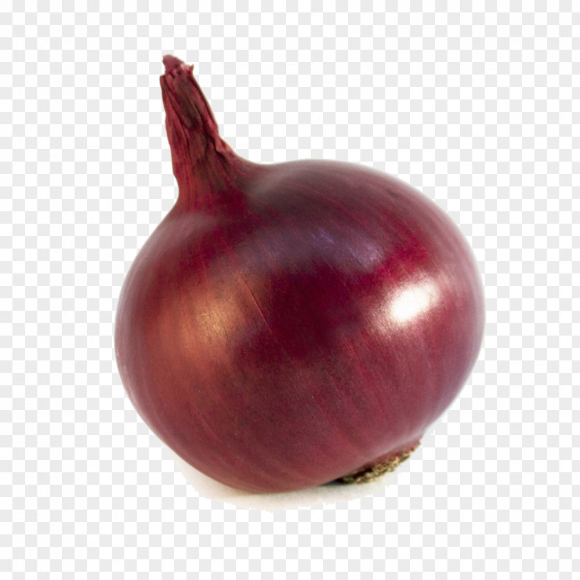 Interface Shallot Vegetable Food Red Onion Fruit PNG