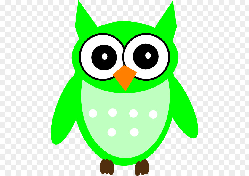 Owls Vector Owl Green Clip Art PNG