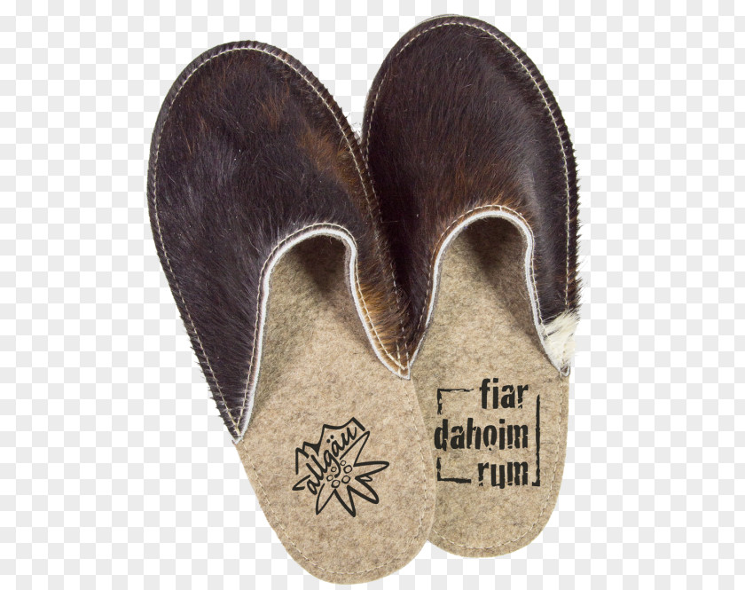 Fiar Slipper Flip-flops PNG