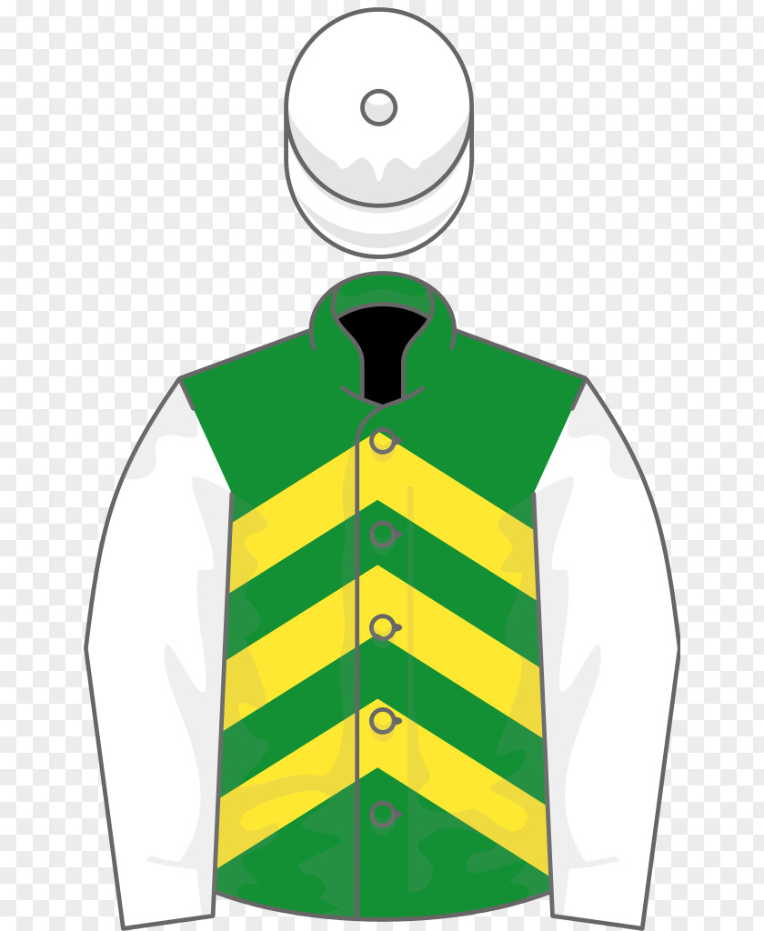 Margaret's Florist Sleeve Green Pertemps Final Liverpool Hurdle Stayers' PNG