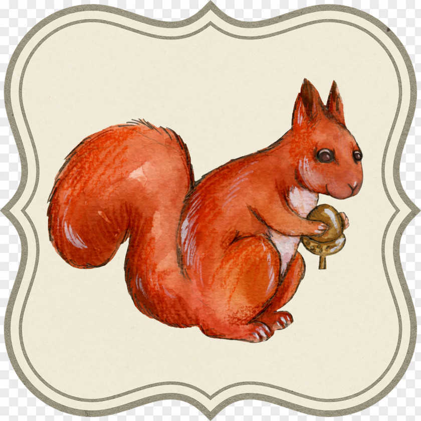 Squirrel Paper Hot Air Balloon Vintage Clothing Scrapbooking PNG