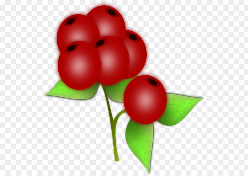 Berries Blueberry Raspberry Clip Art PNG