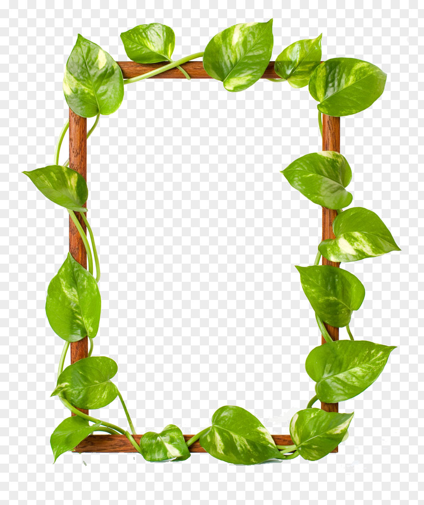Green Leaves Border Picture Frame Raster Graphics Leaf Clip Art PNG