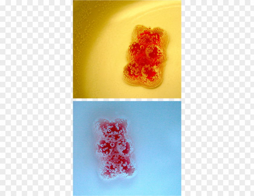 Gummy Bears Gummi Candy PNG