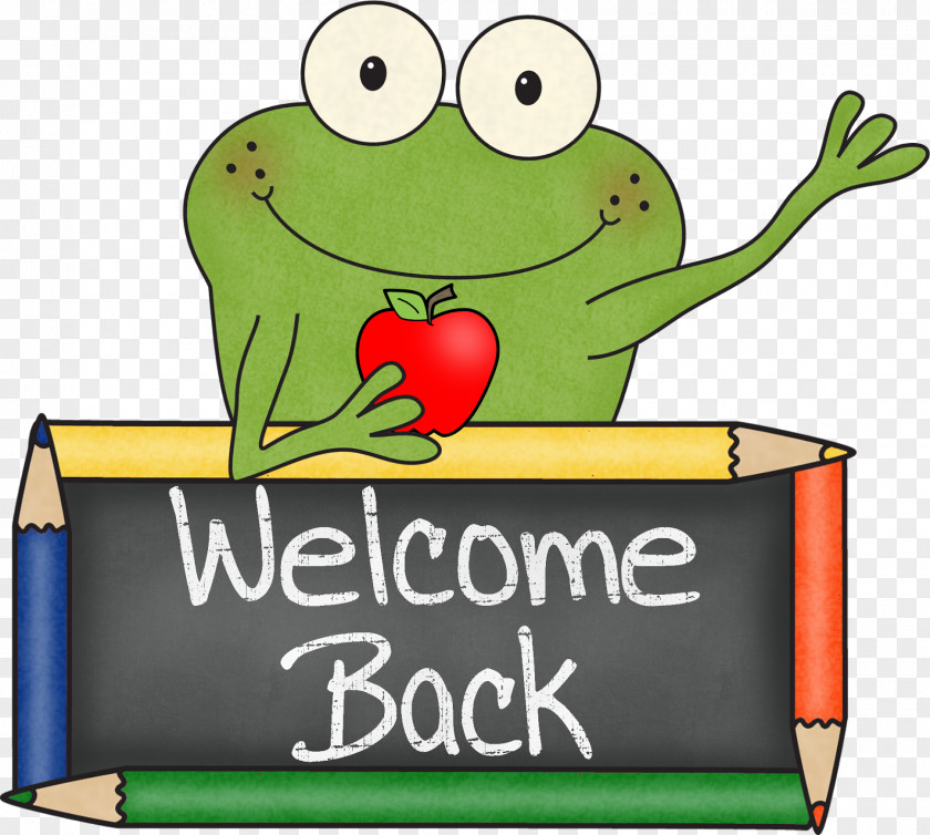 School Tree Frog Website Student PNG