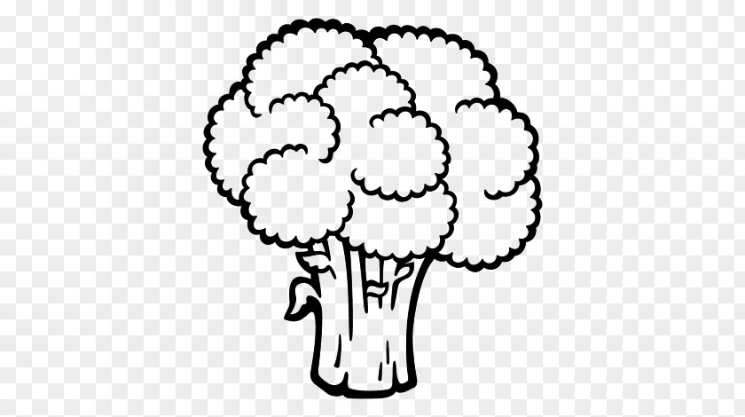 Vegetable Drawing Broccoli Potato Cabbage PNG