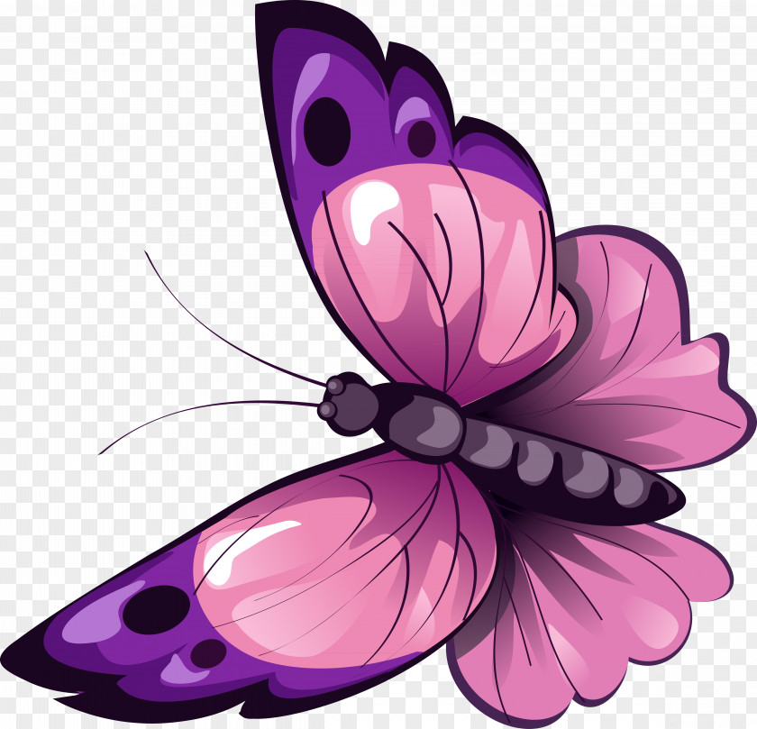 Butterfly Insect Animal Pollinator Clip Art PNG