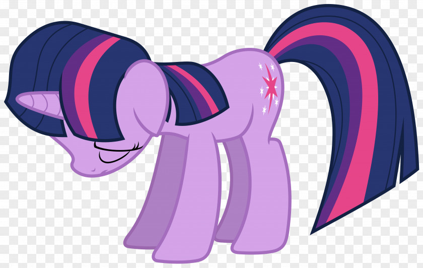 Magical Sparkles Twilight Sparkle Pinkie Pie Rarity The Saga PNG