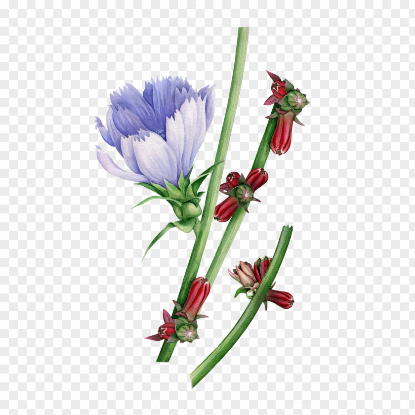 Purple Watercolor Watercolor: Flowers Painting Floral Design PNG