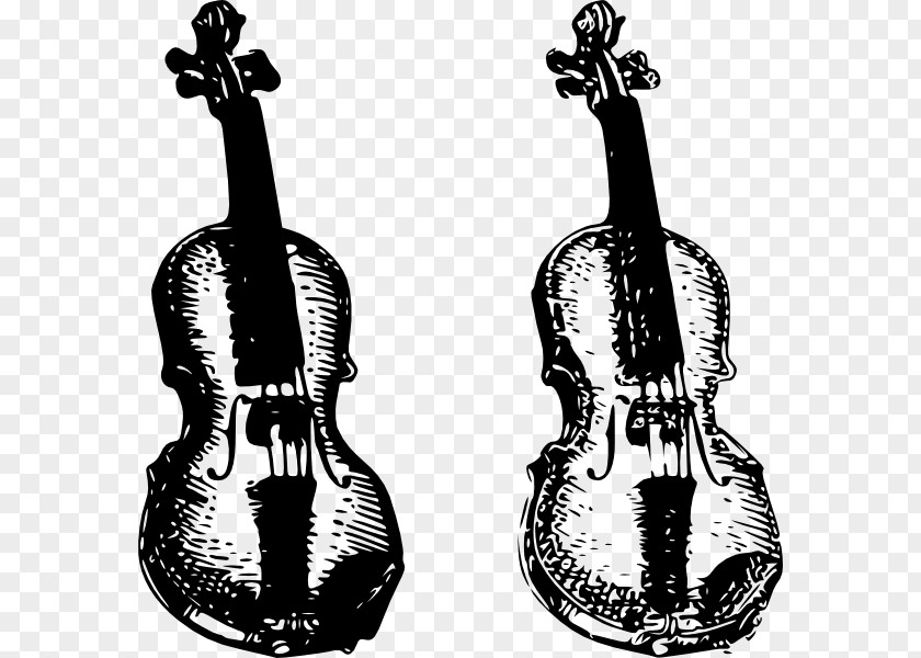 Violin Cello Viola Clip Art PNG
