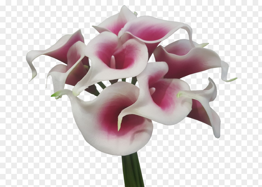 Callalily Arum-lily Cut Flowers Artificial Flower Bouquet PNG