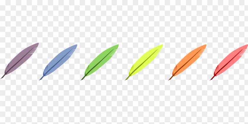 Colorful Feathers Pen Quill Feather Nib PNG