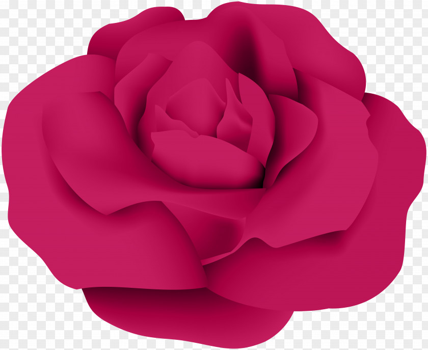 Dark Pink Rose Transparent Clip Art Garden Roses Centifolia PNG