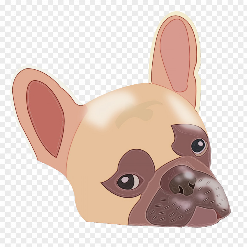 French Bulldog PNG