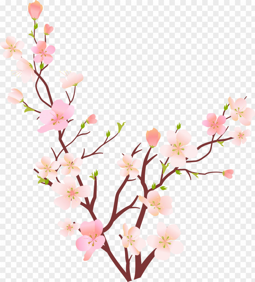 Magnolia Flower Branches Spring RGB Color Model Clip Art PNG
