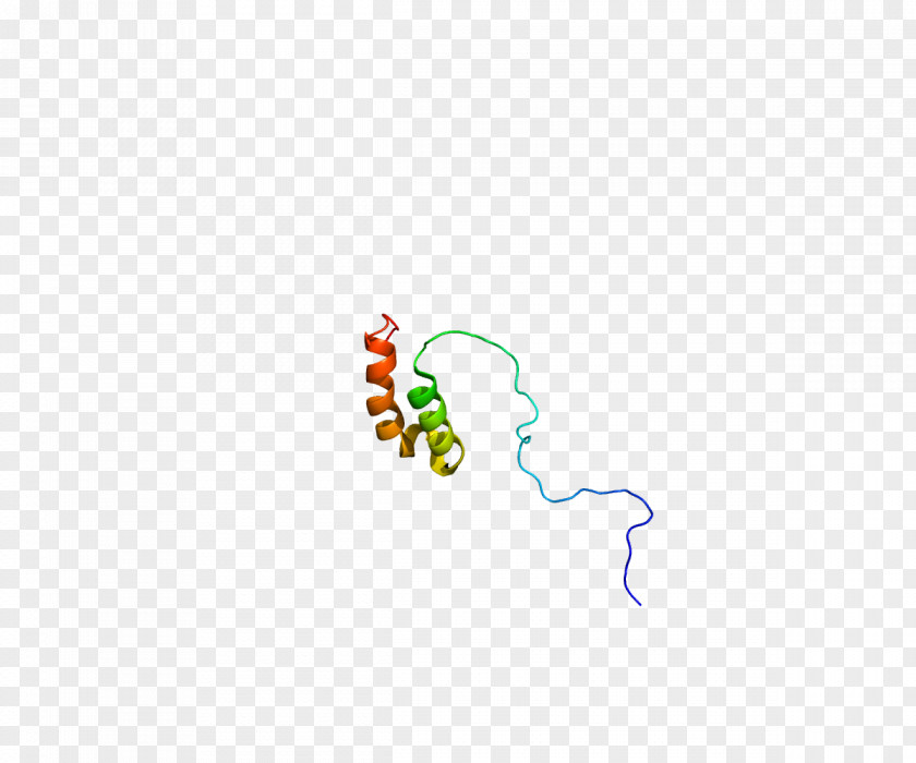9 Cytochrome C Oxidase Protein Electron Transport Chain Mitochondrion Enzyme PNG
