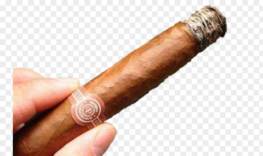 Cigarettes Cigars Cigarette Cuba Tobacco PNG