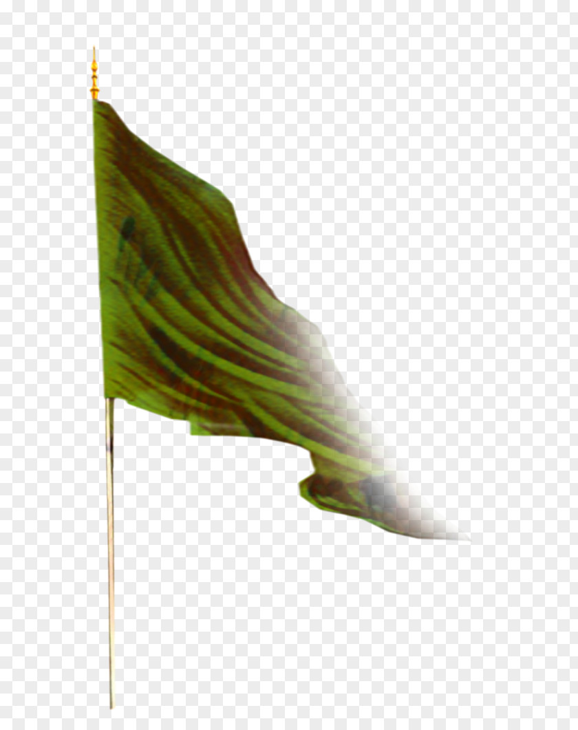 Flag Plant Green Leaf Background PNG