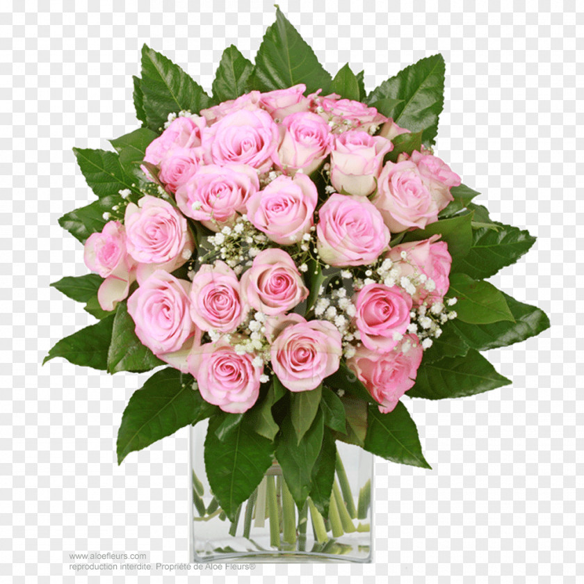 Flower Garden Roses Cabbage Rose Floribunda Floral Design Cut Flowers PNG