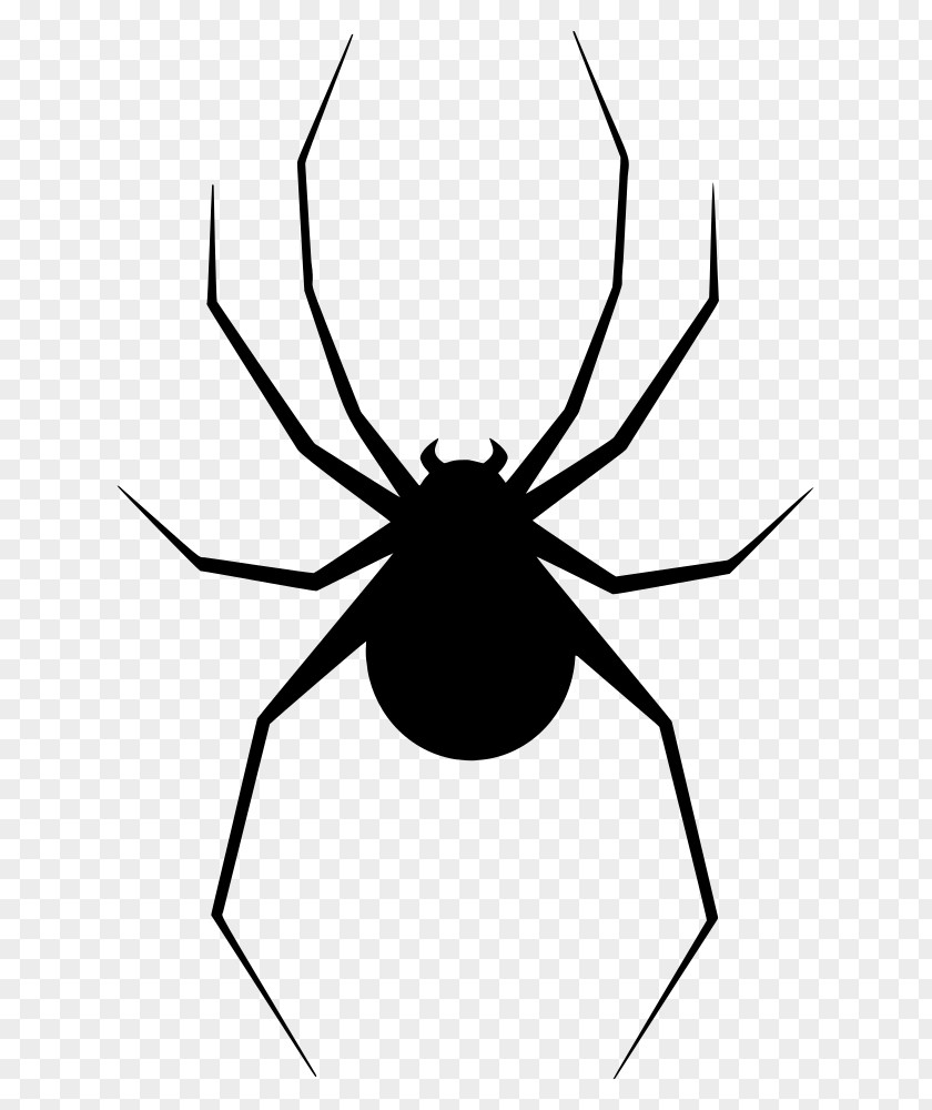 T-shirt Spider Silhouette Clip Art PNG