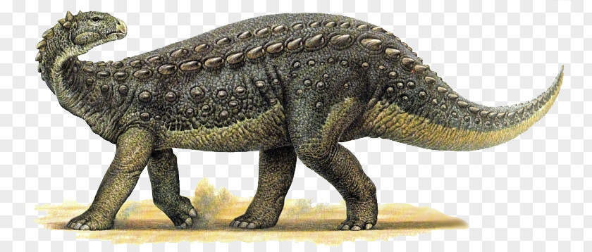 Dinosaur Land Tyrannosaurus Scelidosaurus Abrictosaurus Saltriosaurus PNG