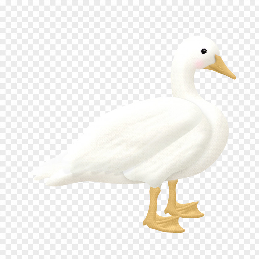 Duck With Not Bulletproof Goose Cygnini PNG