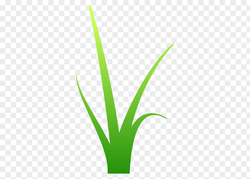 Leaf Grasses Plant Stem Line Font PNG