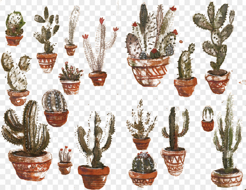 Potted Cactus Cactaceae Flowerpot Sketchbook Drawing PNG