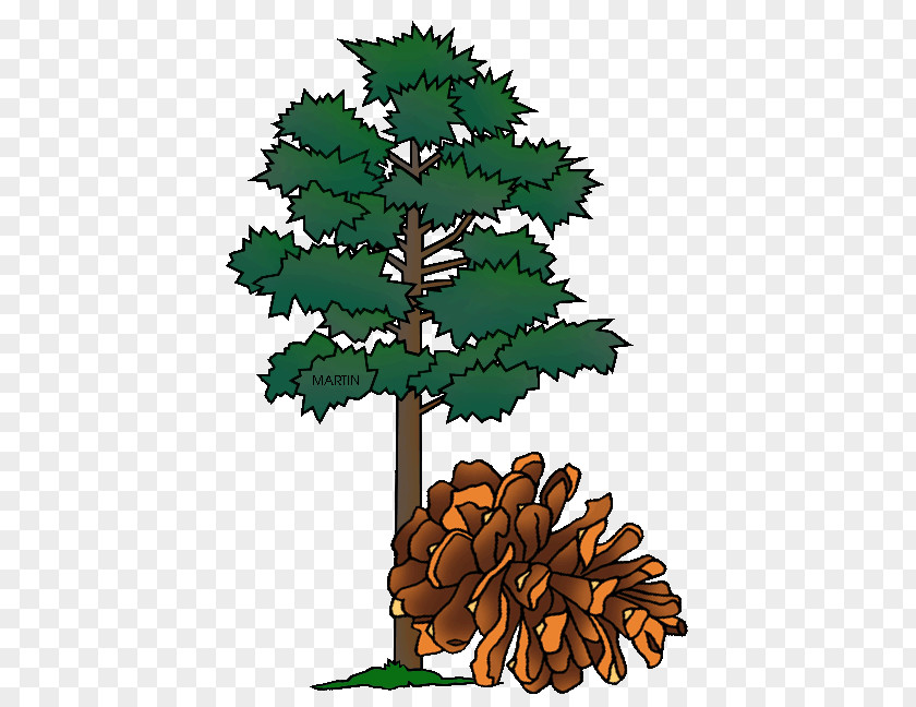Tc Stamp Minnesota Tree Pine Oak Clip Art PNG