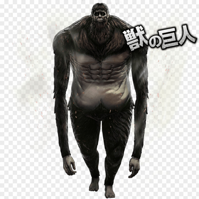 Attack Of Titan Eren Yeager A.O.T.: Wings Freedom Wikia On Beast PNG