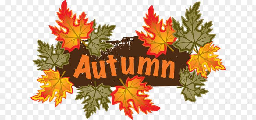 Autumn Cliparts Leaf Color Clip Art PNG