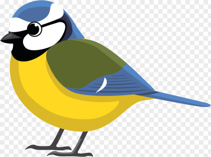 Child Eurasian Blue Tit Bird York Minster Clip Art PNG