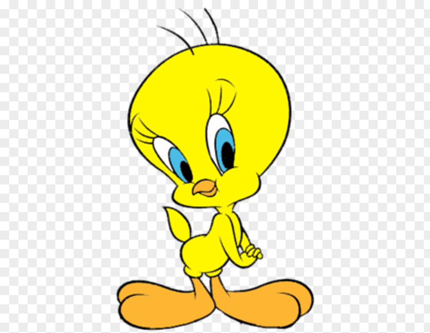 Child Tweety Colouring Pages Sylvester Coloring Book Looney Tunes PNG