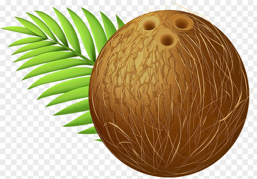 Easter Egg Wood Background PNG