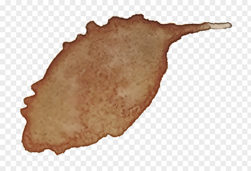 Food Dish PNG