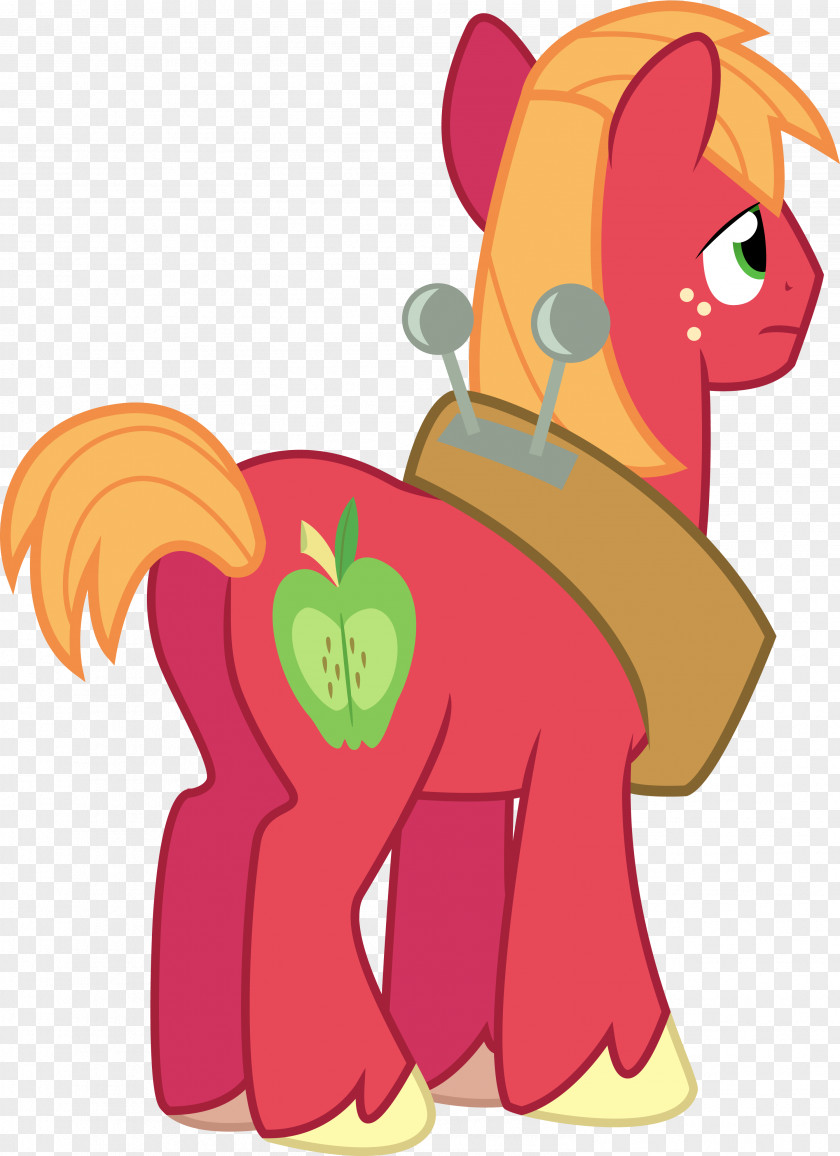 My Little Pony Big McIntosh Rainbow Dash PNG