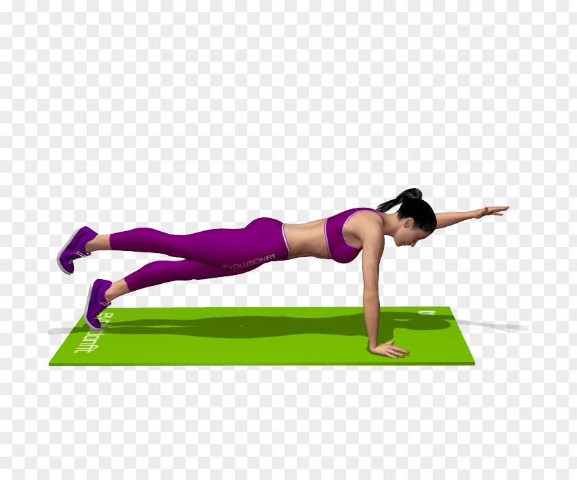 Pilates Bodyweight Exercise Suspension Training Physical Fitness PNG