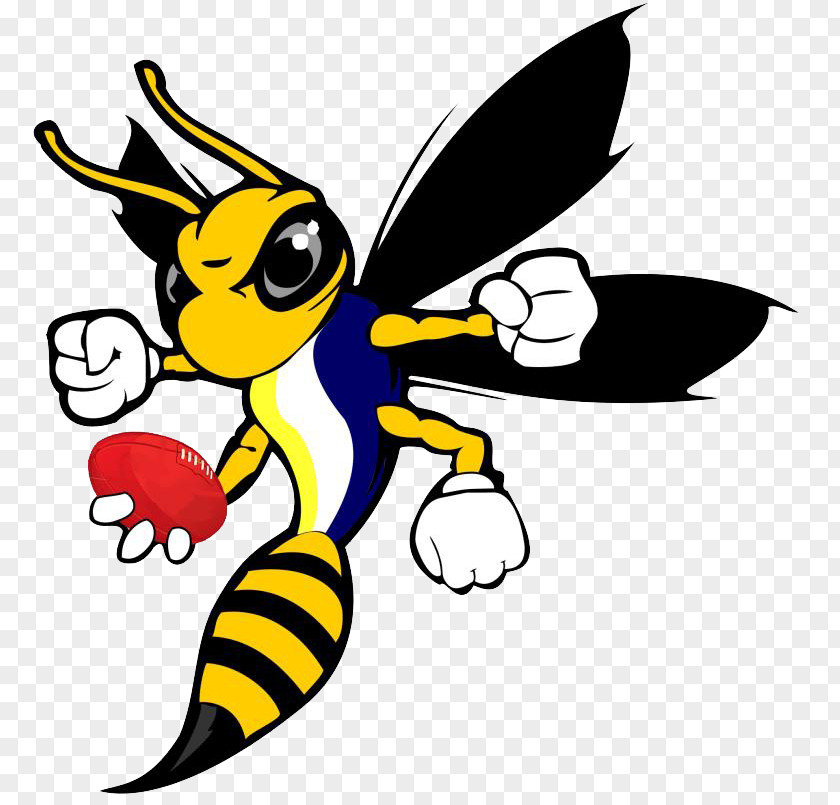 Bee Hornet Wasp Clip Art PNG