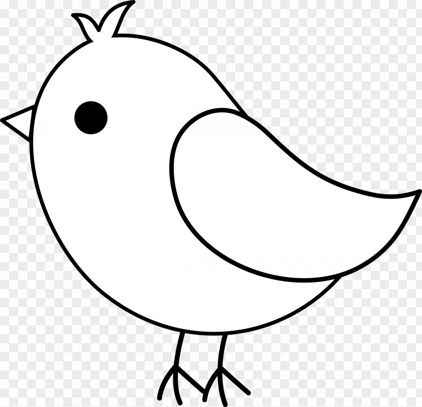 Bird Vector Art Owl European Robin Cockatiel Clip PNG