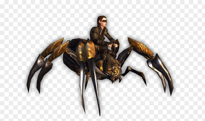 Insect Decapods Legendary Creature PNG