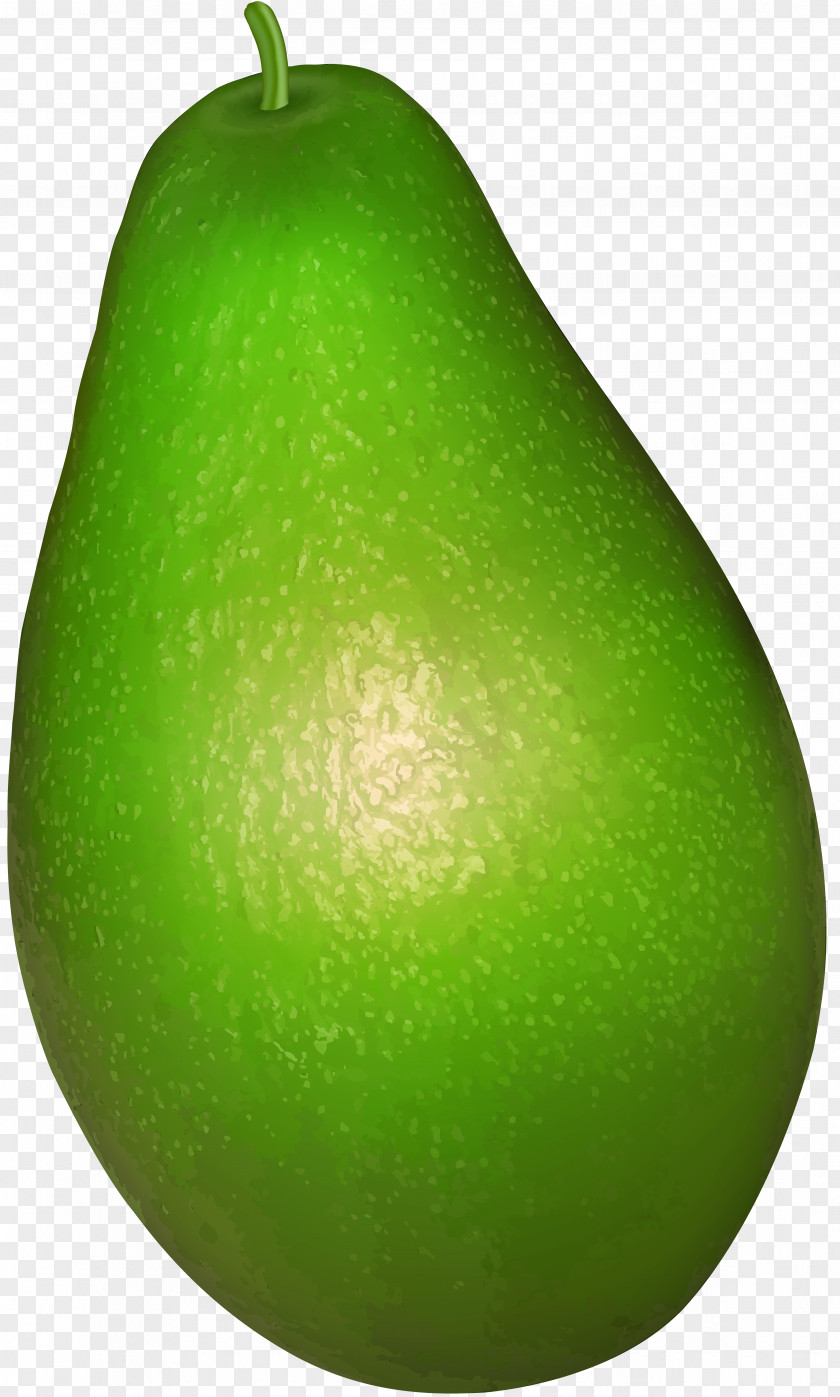 Avocado Transparent Clip Art Lime Pear Apple PNG